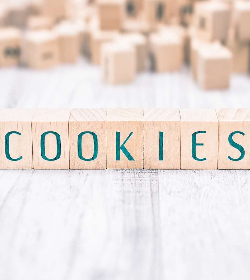 COOKIE POLICY FOR THE HOLIDAY MOTEL WEBSITE